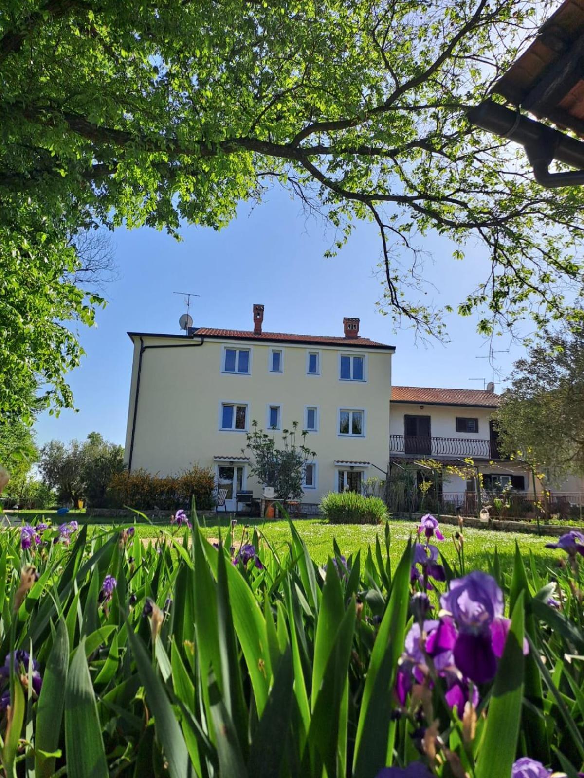 Apartments Marija Murine Extérieur photo